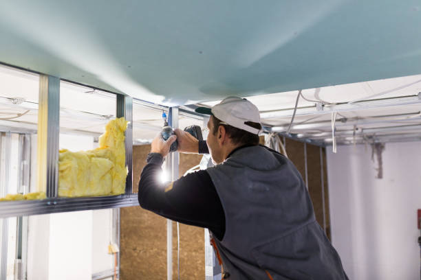 Best Insulation Materials and Products in Lone Tree, IA
