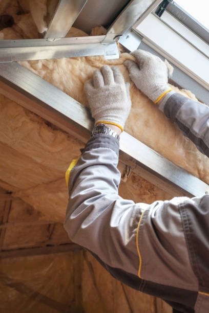 Best Insulation Maintenance and Repair in Lone Tree, IA