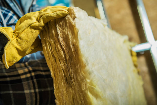 Professional Insulation Contractor in IA