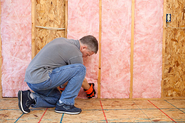 Best Insulation Maintenance and Repair in Lone Tree, IA
